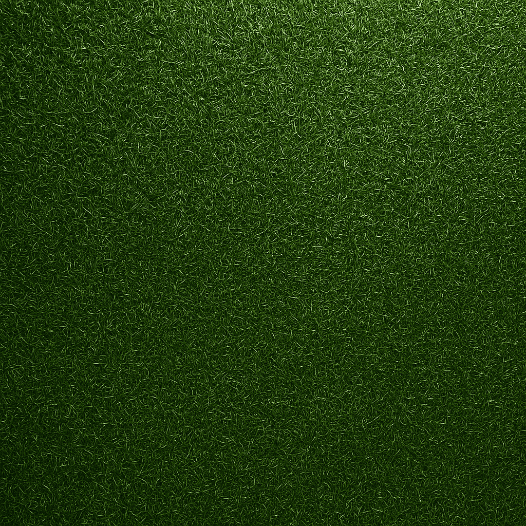 Football field grass